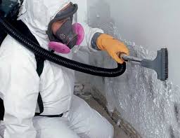 Best Mold Removal for HVAC Installations  in Jasper, GA